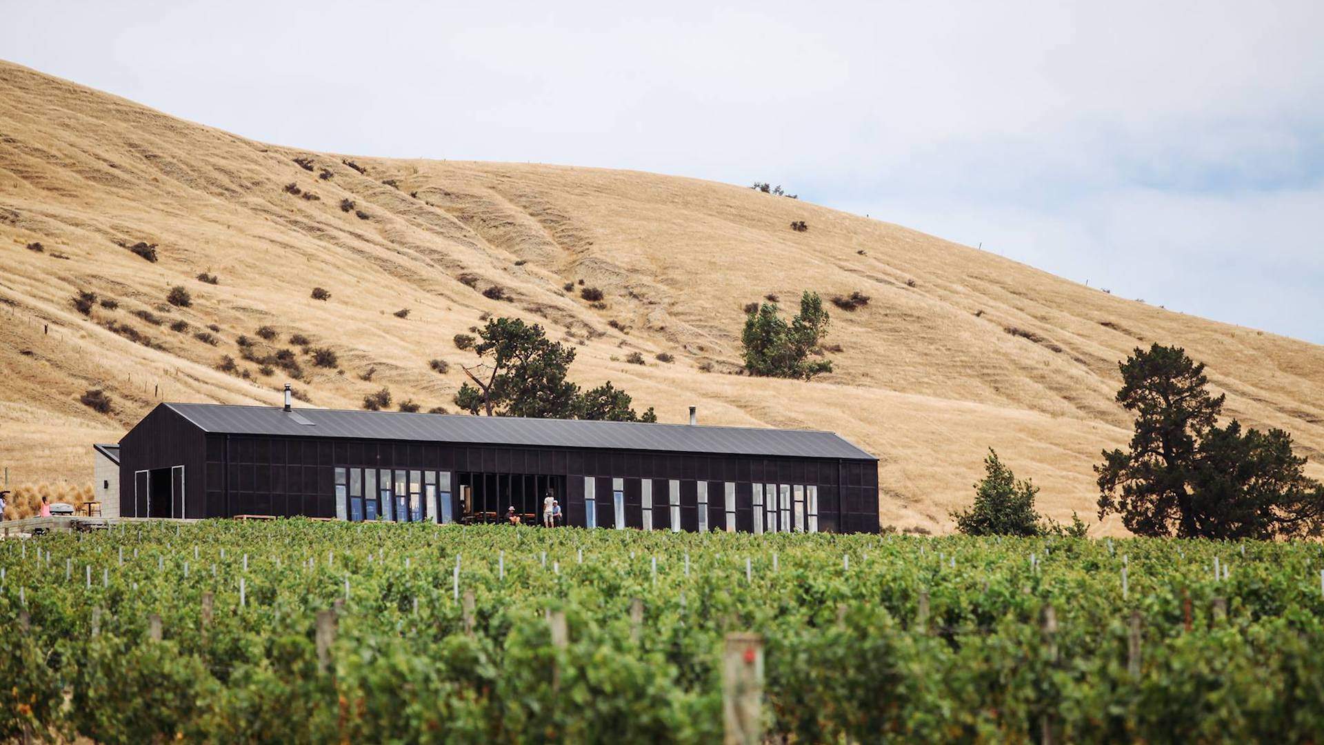 Five Lesser-Known Wine Regions to Visit in New Zealand