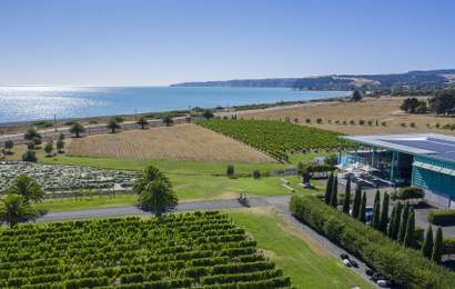 Background image for Hawke's Bay Has Just Been Named the 12th Great Wine Capital of the World