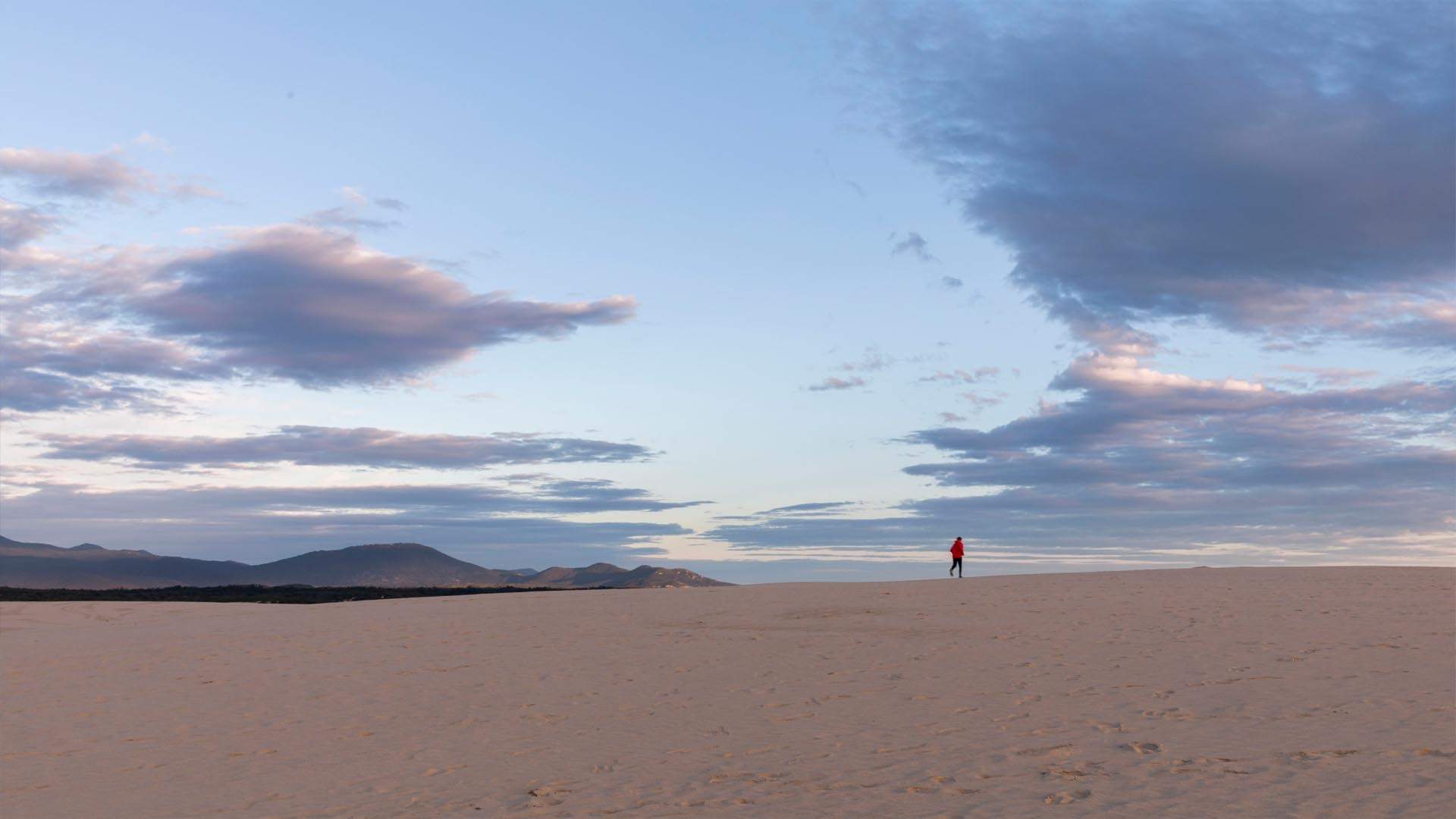 How to Spend 48 Hours in Wilsons Promontory